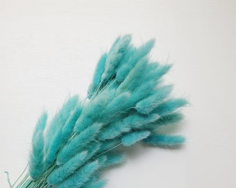 Preserved Light Blue Bunny Tails / Dried Rabbit Tail Grass / Dried and Preserved Flowers / Forever Flowers / Home Decor / Blue Flowers