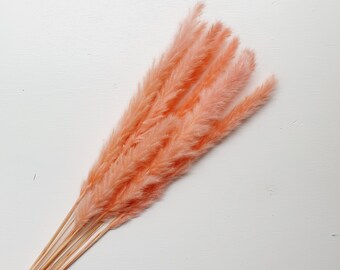Small Pink Pampas Dried Pampas Grass Flower / Tall Floral Arrangement Piece / Dried and Preserved Flowers / Interior Home Decor and Homeware