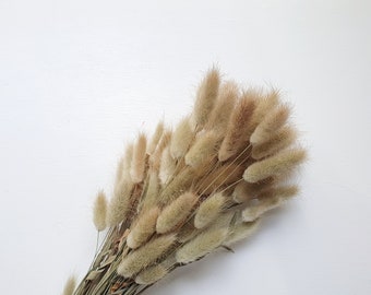Preserved Natural Bunny Tails / Dried Rabbit Tail Grass / Dried and Preserved Flowers / Forever Flowers / Home Decor / Blue Flowers