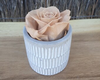 Stunningly Nude Preserved Rose | Grey Vase With Rose | Cute Gift | Thoughtful Gift | Birthday Gift | Gift For Her | Bridesmaid Proposal