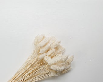 White Preserved Jewelry Grass/ Everlasting and Dried / Dried and Preserved Flowers / Everlasting / Forever / Home Decor / White Flowers