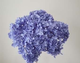 Preserved Purple Hydrangea / Dried Wedding Flower Bouquet / Dried Wedding Flowers / Flowers for Occasions / Home Decor and Interior