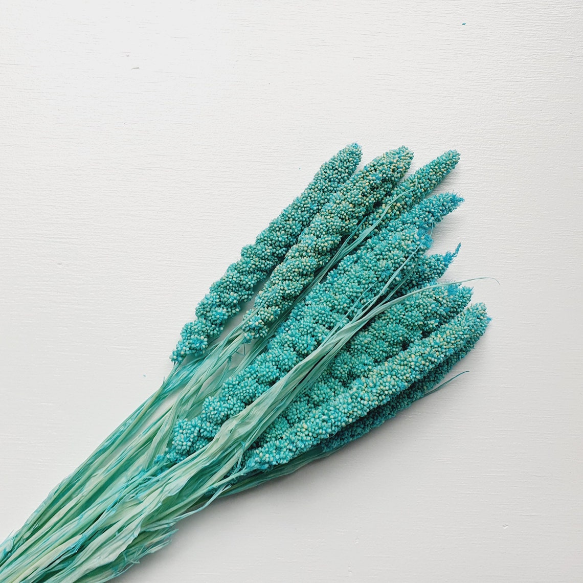 Blue Millet Dried Flowers / Everlasting Wedding Arrangement Etsy UK