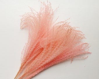 Light Pink Horsetail Flower / Salmon Colour Flower / Dried Flowers for Weddings / Flowers for all Occasions / Home Decor and Interior / Prop