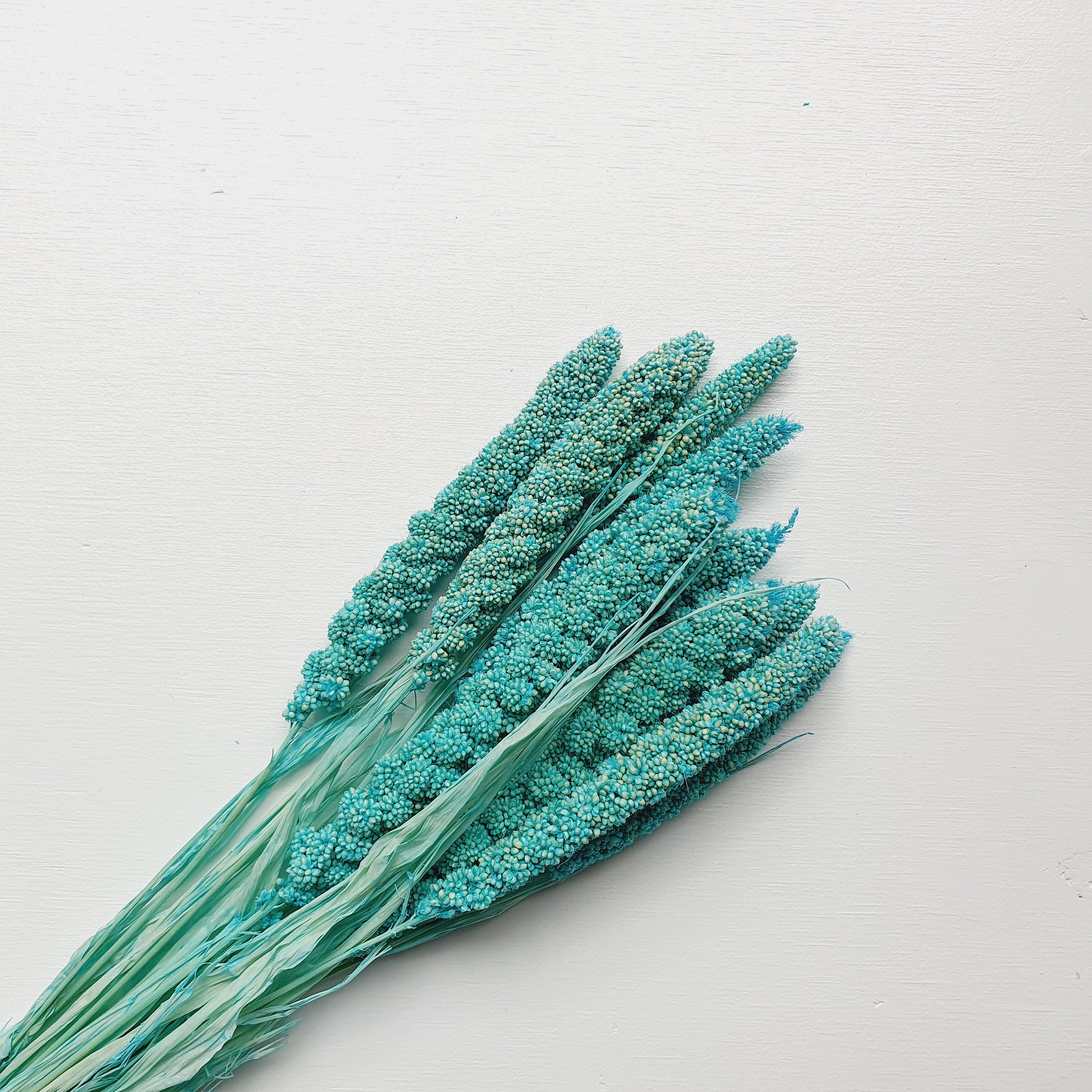 Blue Millet Dried Flowers / Everlasting Wedding Arrangement Etsy UK