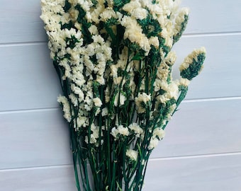 Preserved and Dried White (Natural) Statice / Dried Statice Flowers / Dried Flowers / Preserved Flowers / Preserved Paper Flowers