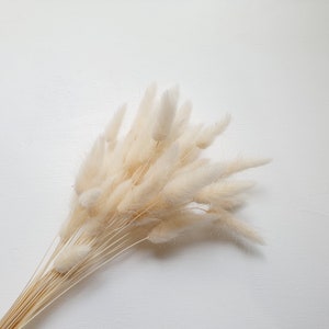 Preserved White Bunny Tails / Dried Rabbit Tail Grass / Dried and Preserved Flowers / Forever Flowers / Home Decor / Blue Flowers