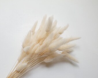 Preserved White Bunny Tails / Dried Rabbit Tail Grass / Dried and Preserved Flowers / Forever Flowers / Home Decor / Blue Flowers