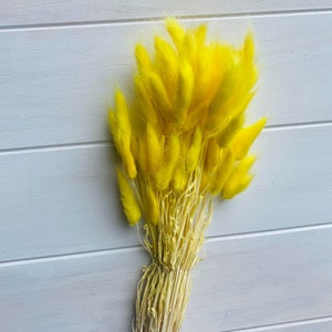 Preserved Bright Yellow Bunny Tails / Dried Yellow Rabbit Tail Grass / Dried and Preserved Flowers / Forever Flowers / Home Decor