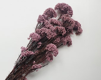 Pink Rice Flower / Delicate Dried Flower, Exotic Rice Flower, Preserve Rice Flower, Natural Handmade Diy Preserved Rice Flower