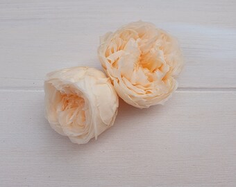 David Austin Preserved Everlasting Rose - Blue | Preserved Roses | Everlasting Flowers | Forever Flowers | Blue Rose | Garden Roses