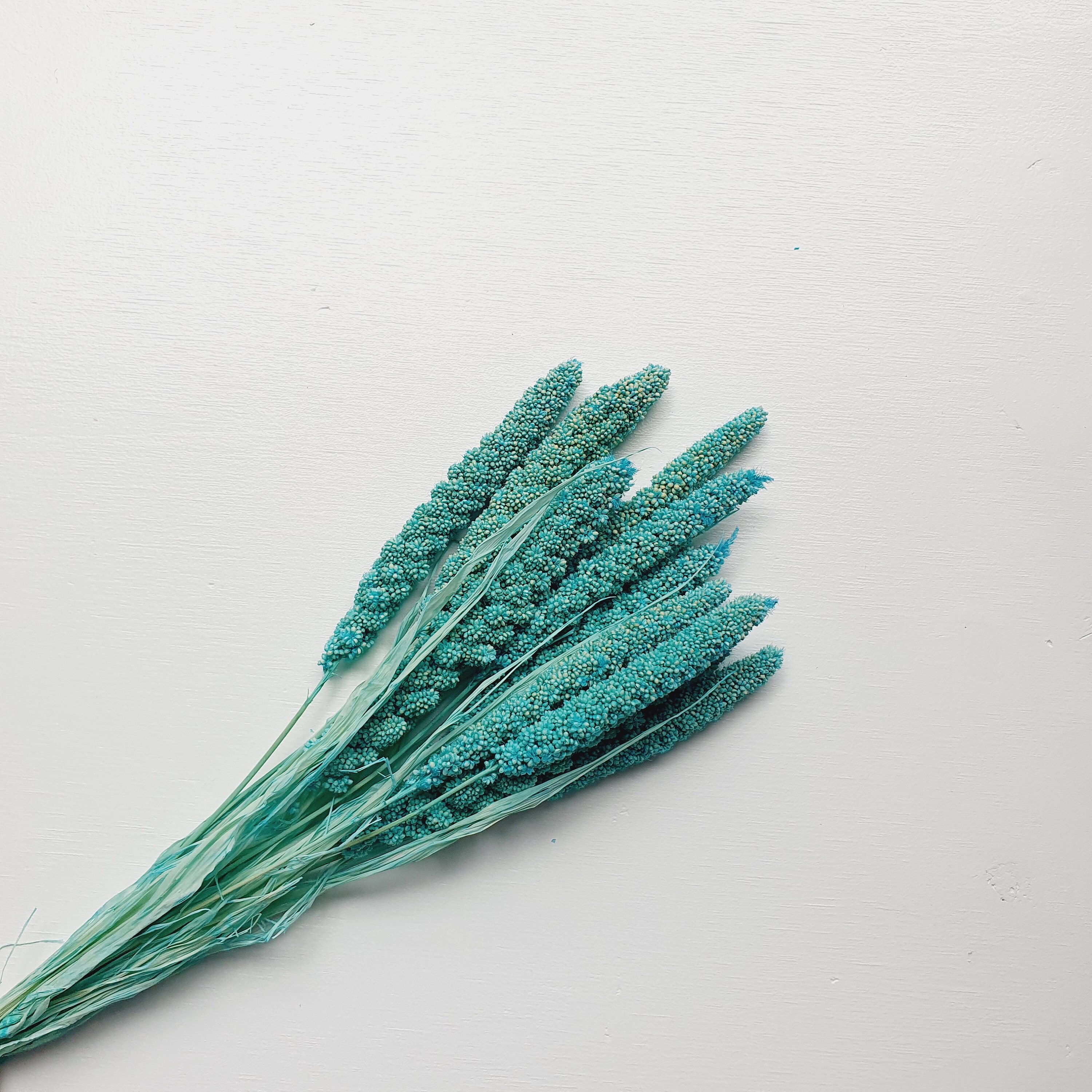 Blue Millet Dried Flowers / Everlasting Wedding Arrangement Etsy UK