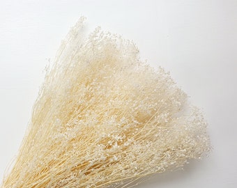 White Preserved Baby Breath / Naturally Dry Flower, Aesthetic Dry Flower, Baby Breath Flowers, Fluffy DIY Preserved Stunning Baby Breath
