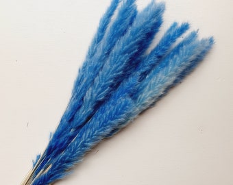 Blue Small Pampas Dried Flowers / Tall Flowers Used for Home Decor / Dried and Preserved Flowers / Interior Home Decor and Homeware