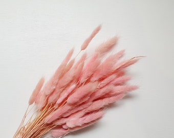 Preserved Light Pink Bunny Tails / Dried Rabbit Tail Grass / Dried and Preserved Flowers / Home Decor / Pink Flowers