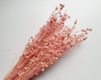 Light Pink Acacia Bean Preserved Flower | ACACIA BEAN FLOWER, Best Preserve Flower, Cute Preserve Flower, Dried Flowers For Decoration