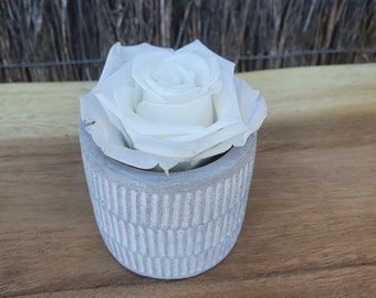 Forever White Rose | Preserved Rose In A Vase | Small Ceramic Vase | Thoughtful Gift | Birthday Gift | Forever A Gift | Bridesmaid Proposal