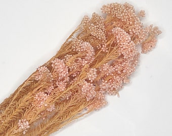 Pink Rice Flower / Delicate Dried Flower, Exotic Rice Flower, Preserve Rice Flower, Natural Handmade Diy Preserved Rice Flower