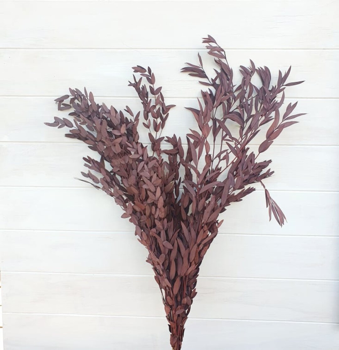 Preserved Red Parvifolia Eucalyptus Gum Leaves | Dried Flower Bunches ...