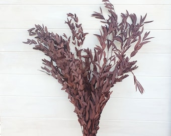 Preserved Red Parvifolia Eucalyptus Gum Leaves | Dried Flower Bunches | Eucalyptus Leaves | Wedding Decor | Home Decor | Floral Arrangments