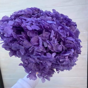 Beautiful Premium Preserved Purple Hydrangea / Assorted Dried and Preserved Flowers / Vivid Blue Hydrangea Stem / Premium Blue Dried Flower