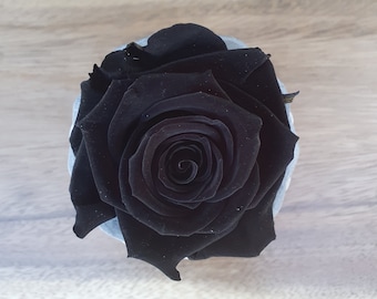 Preserved Pure Black Rose | Forever Rose In Vase | Ceramic Vase | Thoughtful Gift | Birthday Gift | Gift For Her | Bridesmaid Proposal