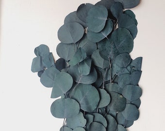 Dried Green Apple Leaves / Dried Wedding Greenery Bouquet / Dried Arrangement Greenery / Home Decor and Interior / Greenery for Homes