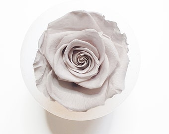 Smokey Coloured Rose | Forever Grey Rose Head | Single Rose Head Preserved | Forever Rose | Everlasting Rose