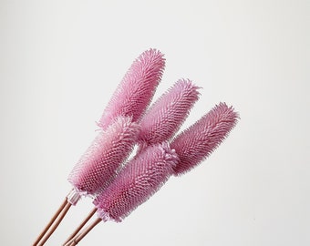 Big Thistle Purple Flower / Preserved Thistle, Best Dried Stunning Thistles, Luxury Bold And Big Handmade Dried Thistle