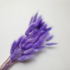Preserved Light Purple Bunny Tails / Dried Rabbit Tail Grass / Dried and Preserved Flowers / Forever Flowers / Home Decor / Blue Flowers