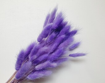 Preserved Light Purple Bunny Tails / Dried Rabbit Tail Grass / Dried and Preserved Flowers / Forever Flowers / Home Decor / Blue Flowers