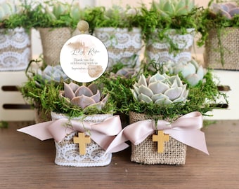 Baptism Favors, Baptism Succulent Favors, Baptism Succulents, Boy Baptism Favors, Girl Baptism Favors, Baptism Cross Favors, bautismo favors