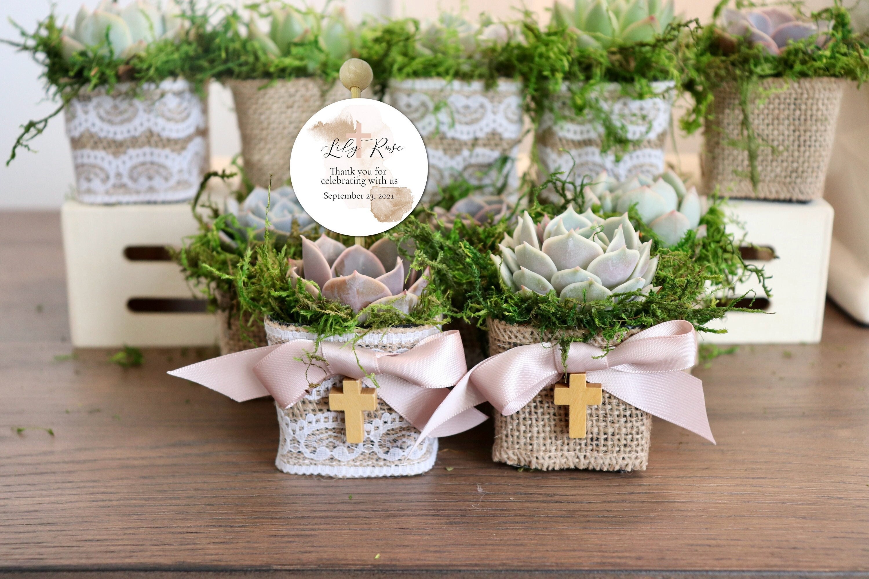 Baptism Favors, Baptism Succulent Favors, Baptism Succulents, Boy Baptism Favors, Girl Baptism Favors, Baptism Cross Favors, bautismo favors