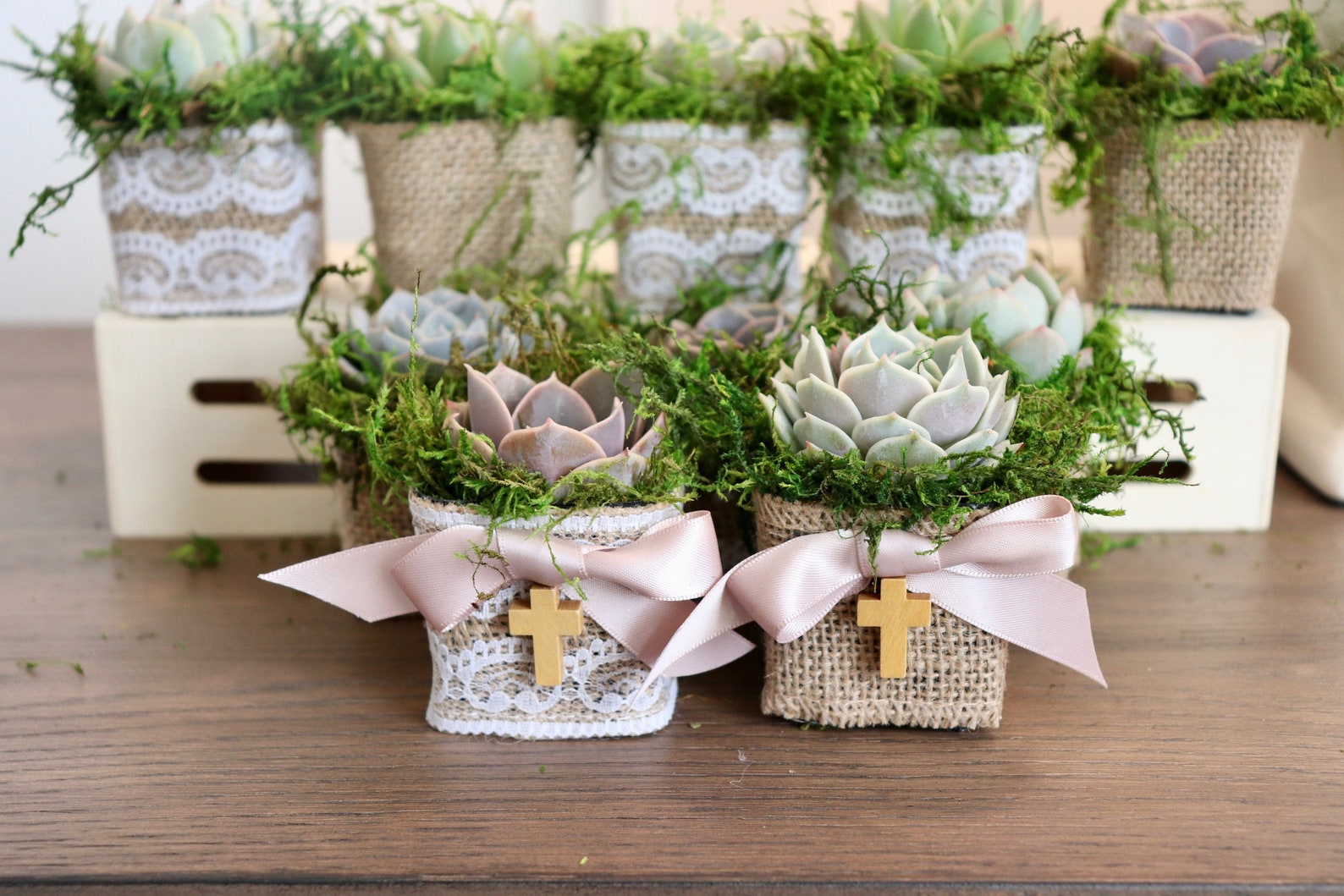 Baptism Favors Baptism Succulents Succulent Favors Etsy
