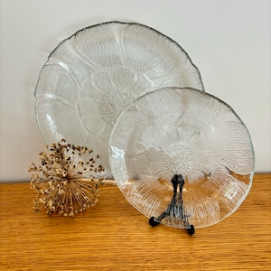 Set aus zwei Glasblumentellern