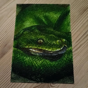 May include: A rectangular painting of a green snake's head and body, with detailed scales and eye. The snake is coiled, its head central, against a vibrant green background. The artwork is on a wooden surface, with a natural wood grain.