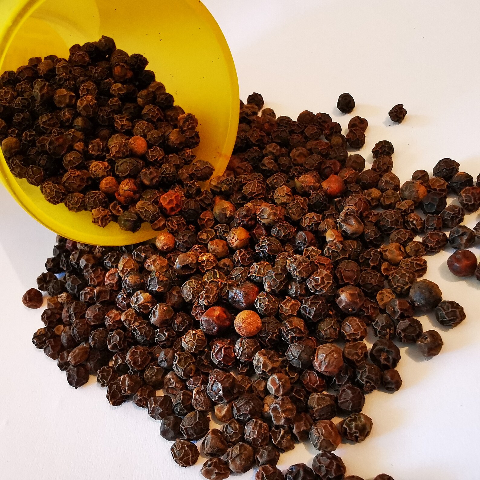 Black Pepper for Spells Whole Black Peppercorn Witchcraft Etsy