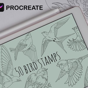 May include: A digital tablet screen displaying a set of 50 bird stamps for the Procreate app. The stamps are black and white line drawings of various bird species in flight.