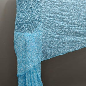 Hand Embroidered Chikankari Saree: Lucknow Georgette Sari