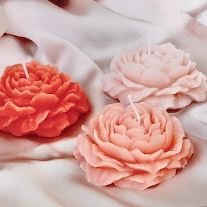 Candle blossoms of different colors