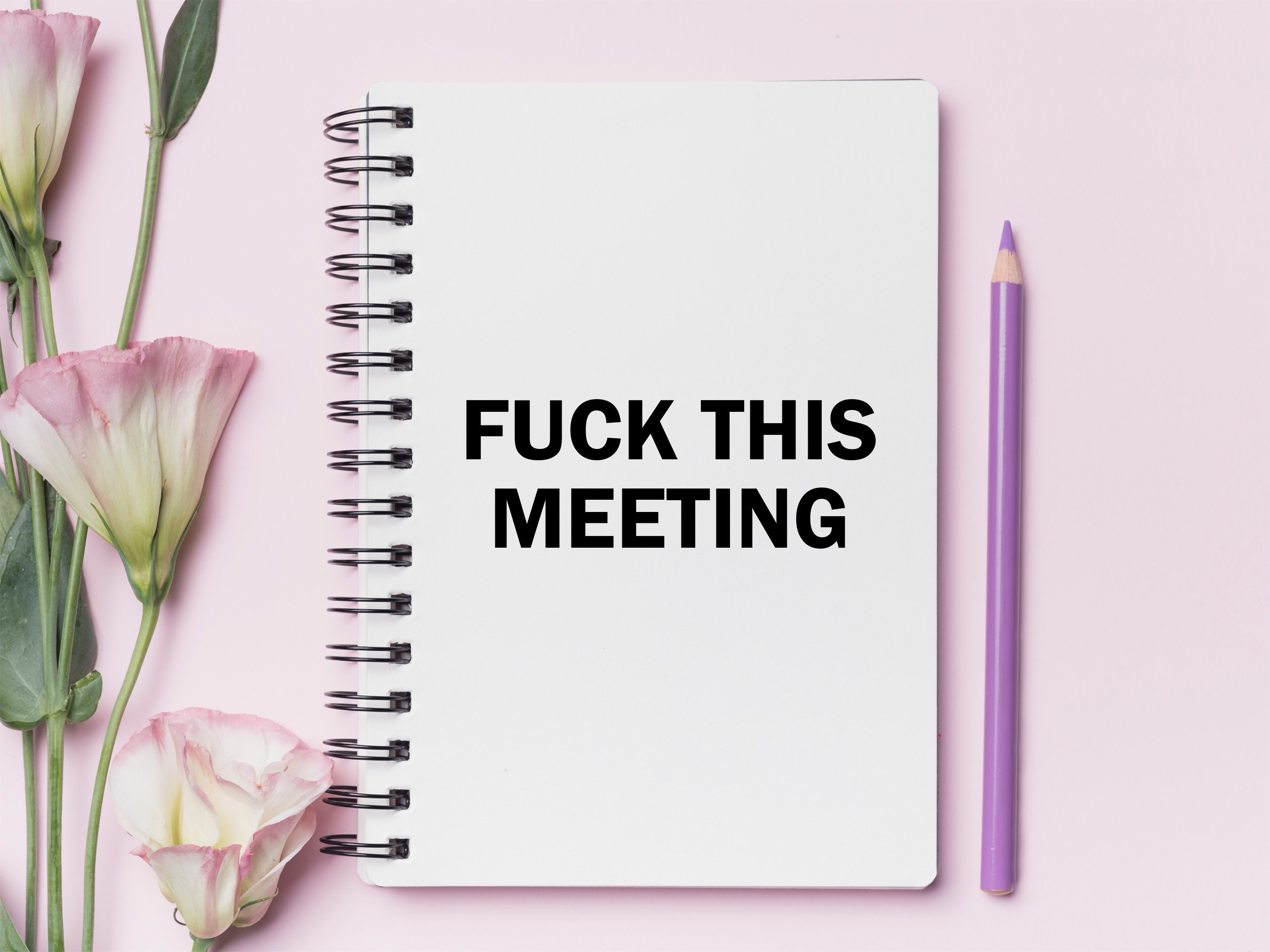 Fuck This Meeting Notebook, Gifts for Colleagues, Funny Notebook, Rude