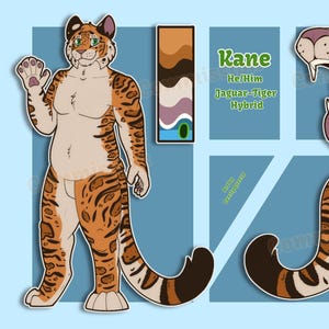 Simple Fursona Character Reference