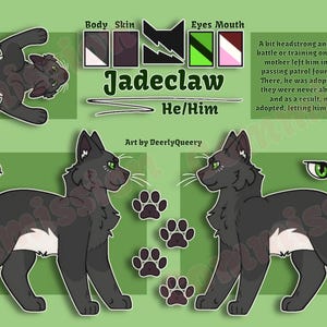 Detailed Feral OC Reference