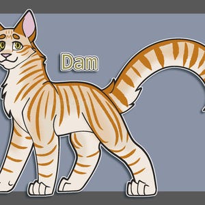 Könnte beinhalten: Illustration einer Zeichentrickkatze mit orangefarbenen und cremefarbenen Streifen, die auf allen Vieren steht. Die Katze hat grüne Augen und das Wort "Dam" steht in einem grünen Feld darüber. Der Hintergrund ist einfarbig grau.