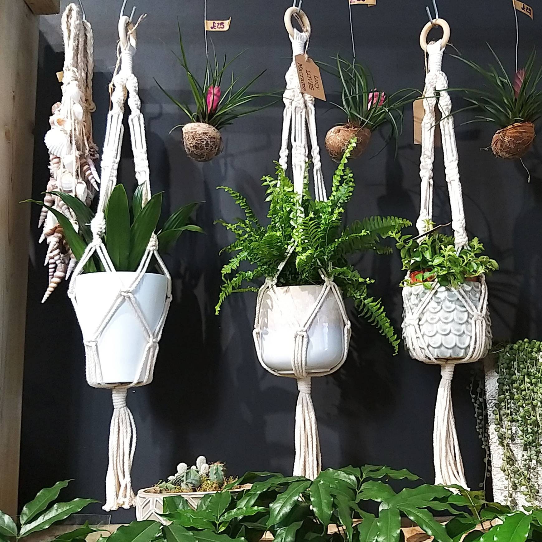 Chunky Rope Plant Hanger in Cream Etsy Hong Kong