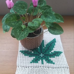 May include: A pink flowering plant in a brown pot sits on a white crocheted coaster with a green leaf design.