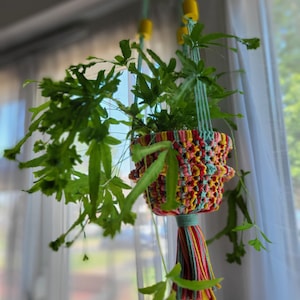 May include: A green plant hanging in a colorful macrame plant hanger with a tassel. The hanger is made of pink, yellow, and red yarn.