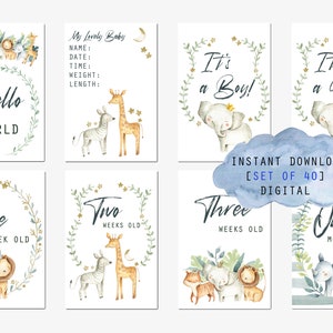 Baby Milestone Cards Printable, Set of 40, Baby Shower Milestone Cards Gift, Safari Milestone Cards, Newborn milestones, Jungle Animals, 4x6