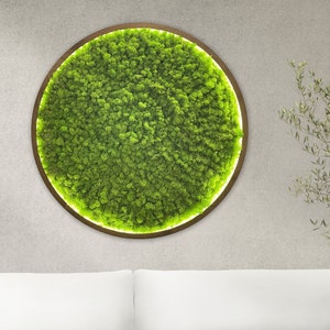 Natural dried moss wall art with led, Moss wall art decor, Oversized moss wall art, Wall moss decor, Aesthetic preserved Moss wall art