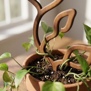 May include: A dark brown wooden plant trellis with a curved, organic branch-like shape inserted into a terracotta pot. The structure features open, leaf-inspired cutouts and supports a green vining plant with heart-shaped leaves.